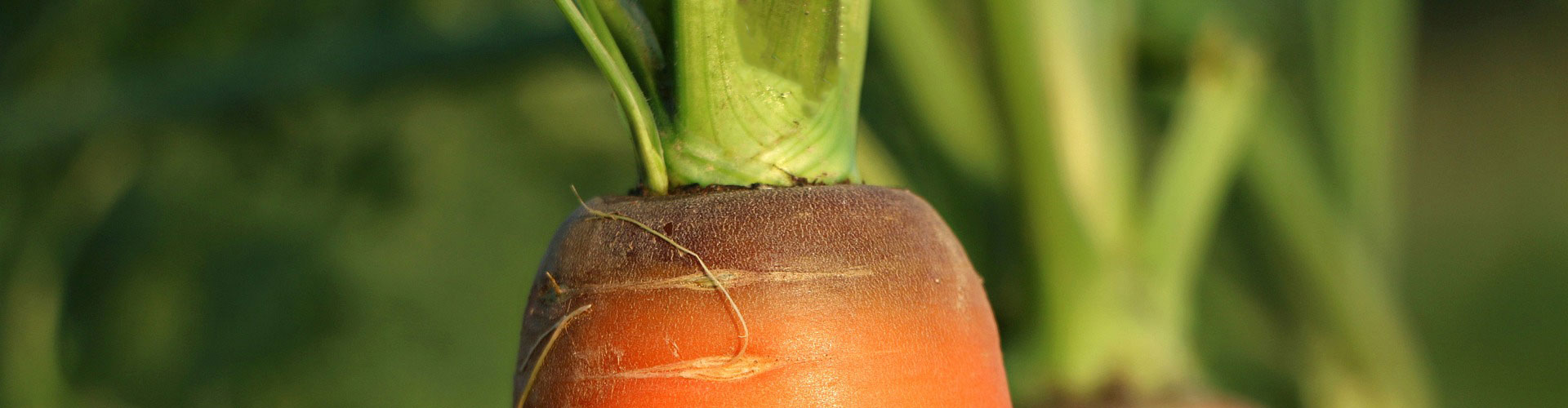 公司簡(jiǎn)介 公司簡(jiǎn)介